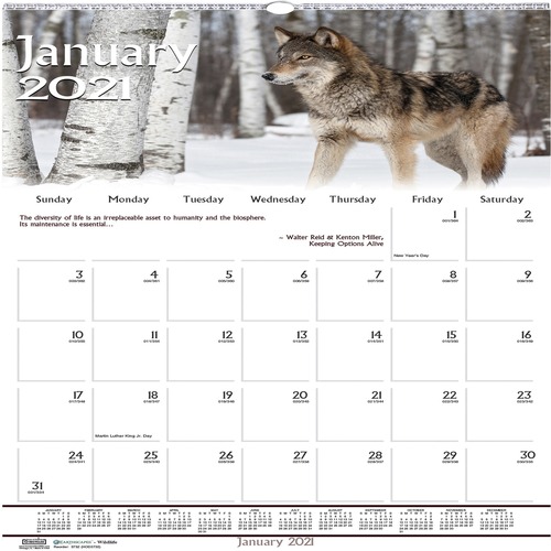 RECYCLED WILDLIFE SCENES MONTHLY WALL CALENDAR, 12 X 12, 2019
