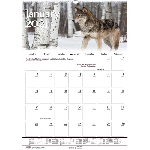 RECYCLED WILDLIFE SCENES MONTHLY WALL CALENDAR, 12 X 16 1/2, 2019