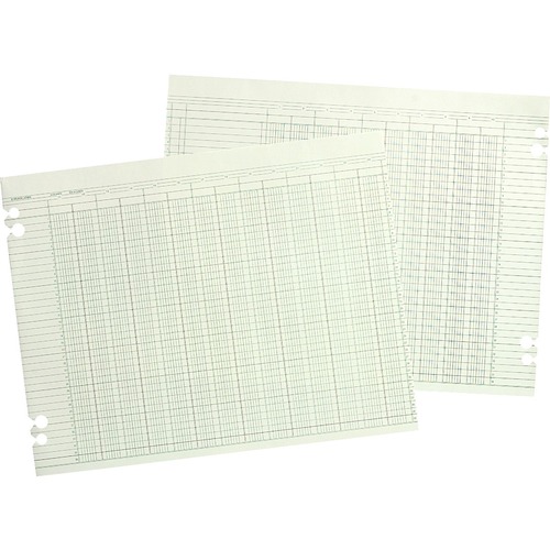 Accounting Sheets, 20 Column, 9-1/4 X 11-7/8, 100 Loose Sheets/pack, Green