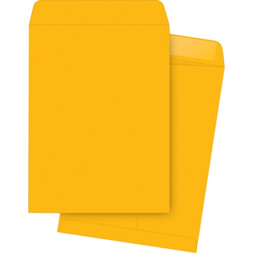 Business Source  Catalog Envelopes, Plain, 9-1/2"x12-1/2", 250/BX, Kraft