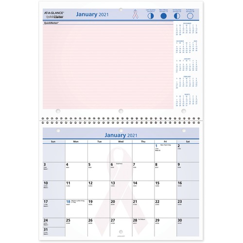 BCA Desk/Wall Calendar,Notes Area,12-Mth Jan-Dec,11"x8",Pink