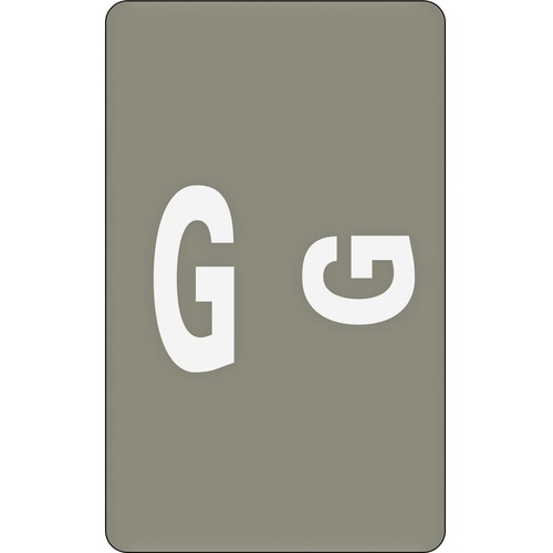 Alpha-Z Color-Coded Second Letter Labels, Letter G, Gray, 100/pack