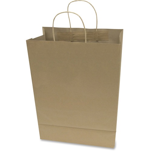 Paper Shopping Bag, 17"x12", 50/BX, Brown