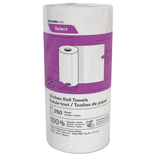 Select Kitchen Roll Towels, 2-Ply, 8 X 11, 250/roll, 12/carton