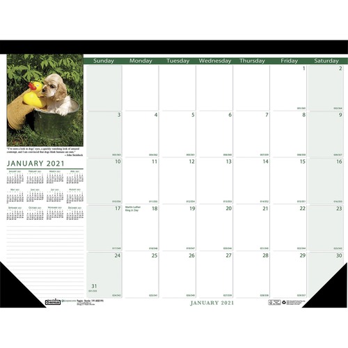 RECYCLED PUPPIES PHOTOGRAPHIC MONTHLY DESK PAD CALENDAR, 22 X 17, 2019