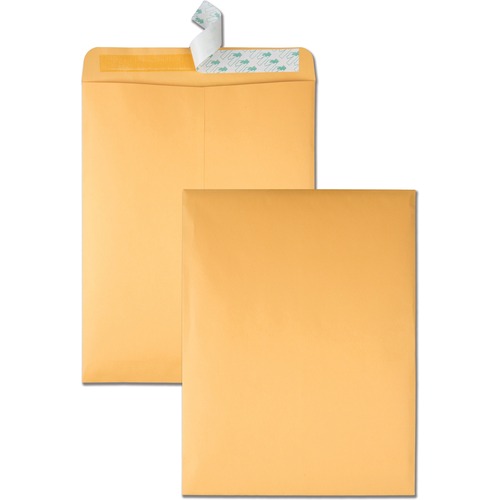 HIGH BULK REDI-STRIP CATALOG ENVELOPE, #13 1/2, CHEESE BLADE FLAP, REDI-STRIP CLOSURE, 10 X 13, BROWN KRAFT, 250/CARTON