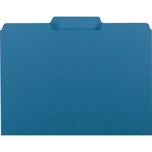 Interior File Folders, 1/3 Cut Top Tab, Letter, Sky Blue, 100/box