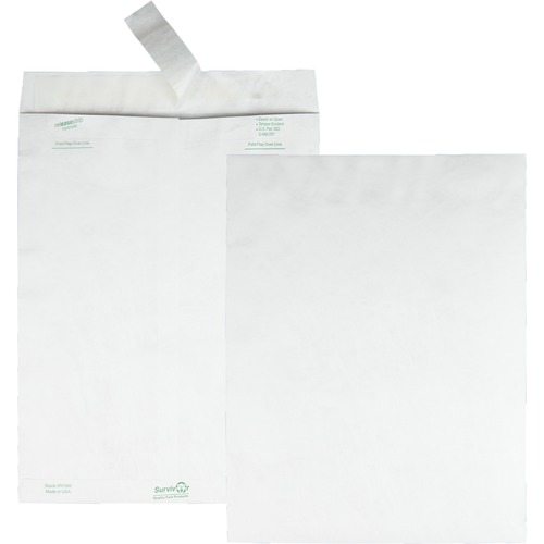 Tyvek Mailer, 10 X 13, White, 100/box