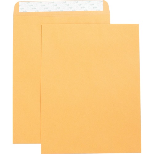 Catalog Envelopes,Self Seal,Plain,10"x13",250/BX,Kraft