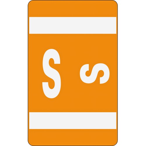 Alpha-Z Color-Coded Second Letter Labels, Letter S, Orange, 100/pack