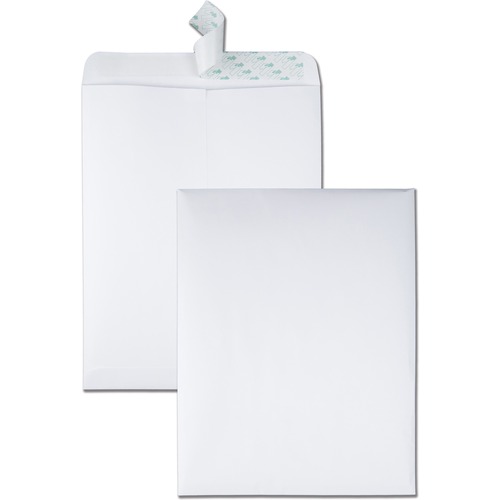 Redi Strip Catalog Envelope, 10 X 13, White, 100/box