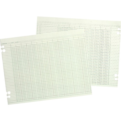Accounting Sheets, 24 Columns, 11 X 17, 100 Loose Sheets/pack, Green