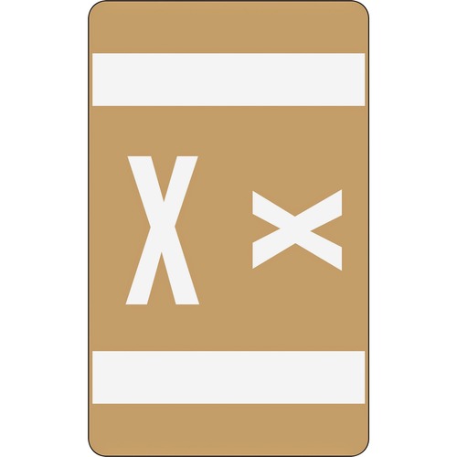 Alpha-Z Color-Coded Second Letter Labels, Letter X, Light Brown, 100/pack