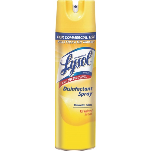 Disinfectant Spray, Original Scent, 19 Oz Aerosol Can