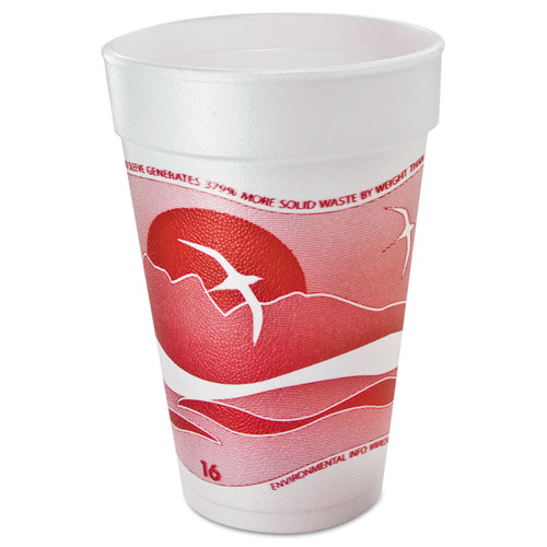 Horizon Foam Cup, Hot/cold, 16oz., Printed, Cranberry/white, 25/bag, 40/ct