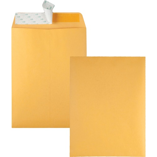 Redi Strip Catalog Envelope, 9 X 12, Brown Kraft, 100/box